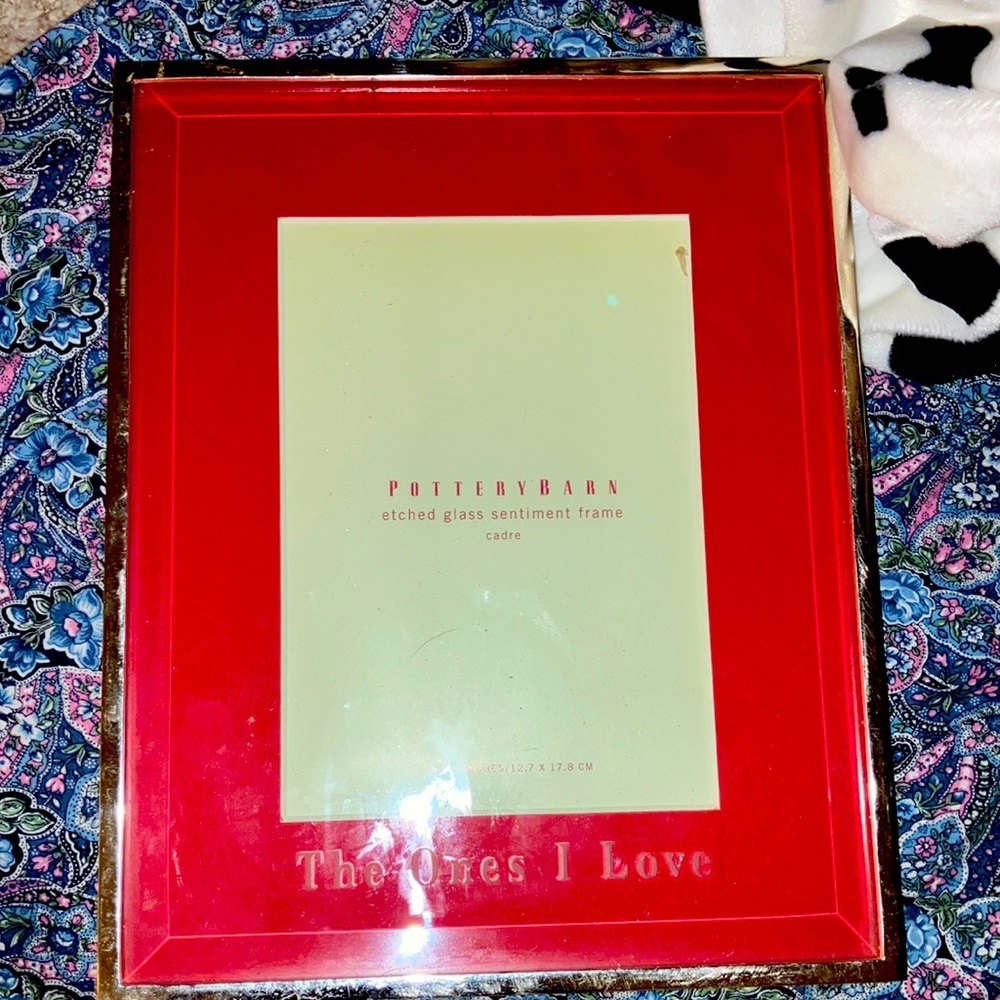 Picture frame red and silver the ones I love pottery barn